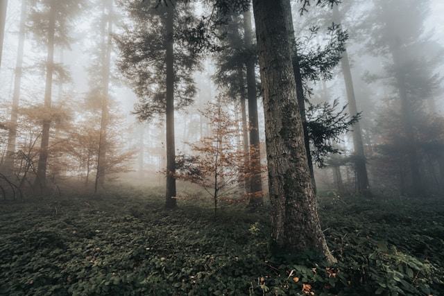 How To Grow Your Outdoor Brand