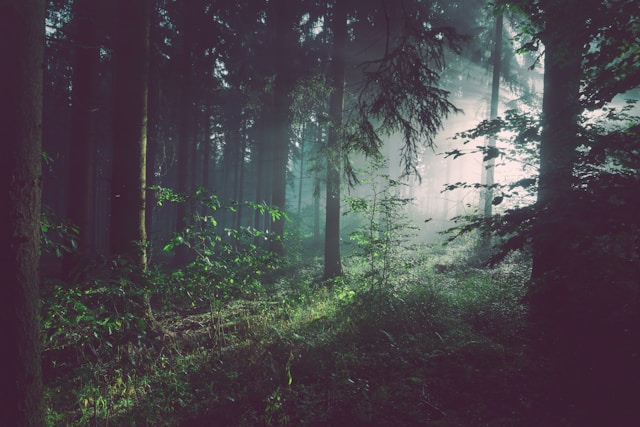 Why Lifestyle Bloggers Are Becoming Key Partners for Outdoor Brands